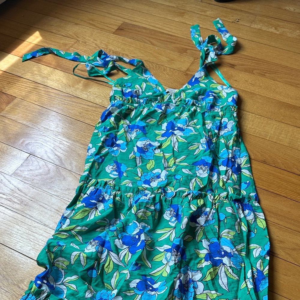 Monteau Green Floral Maxi Dress with Blue and White Flowers
